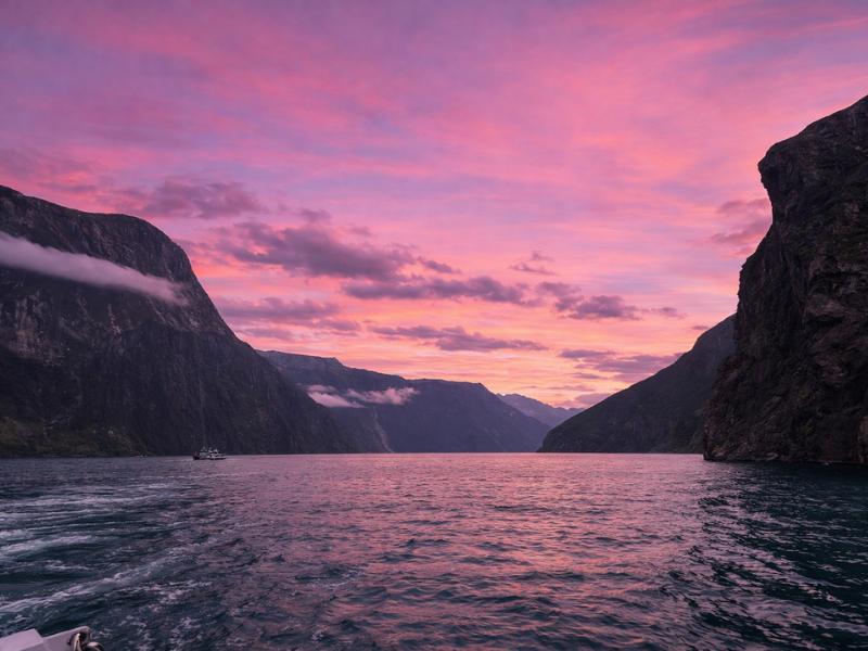 Fiordland Jewel Luxury Overnight Cruise in Milford Sound