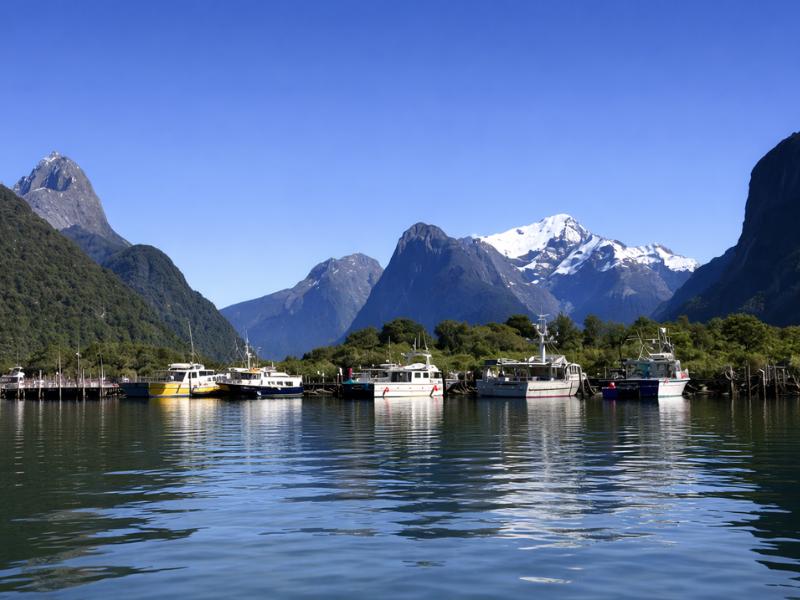 Milford Sound Self-Guided Milford Track Day Walk