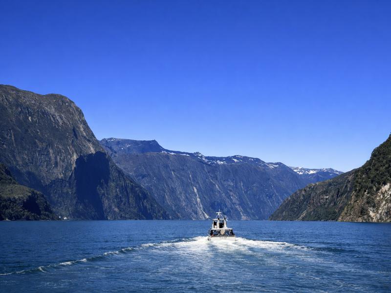 Premium Milford Sound Small-Group Tour & Cruise from Queenstown