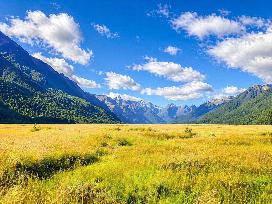 Eglinton Valley scenic stop featuring grassy plains and mountain views in Fiordland National Park, captured during a trip with New Zealand Milford Sound Tours