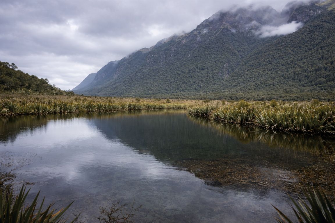 Mirror Lakes in Fiordland National Park reflecting cloudy skies and forested mountains, visited during a guided tour with New Zealand Milford Sound Tours